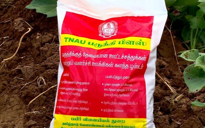 பருத்தியில் பூக்கள் உதிர்வதைக் கட்டுப்படுத்த ’பருத்தி பிளஸ்’! 1 பருத்தியில் பூக்கள் உதிர்வதைக் கட்டுப்படுத்த ’பருத்தி பிளஸ்’!