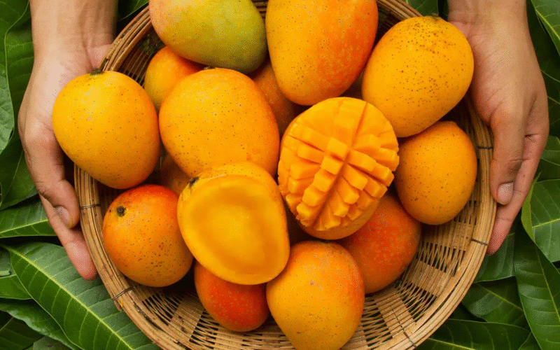 மாம்பழத்தில் மதிப்புக் கூட்டப்பட்ட பொருள்கள்! 1 மாம்பழத்தில் மதிப்புக் கூட்டப்பட்ட பொருள்கள்!