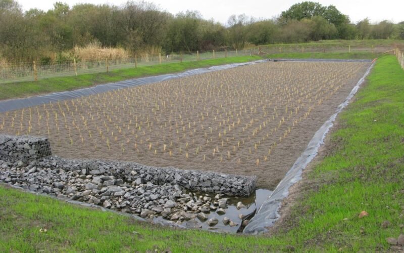 கழிவுநீரைச் சுத்திகரிக்கும் ரீட் படுக்கை! 1 கழிவுநீரைச் சுத்திகரிக்கும் ரீட் படுக்கை!