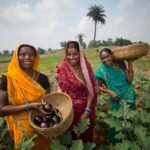 வேளாண்மையில் கொட்டிக் கிடக்கும் சுய தொழில்கள்!