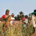 நீடித்த வேளாண்மை வறட்சியை வெல்லும் - நீருபித்துக் காட்டிய கர்நாடகப் பெண்கள்!