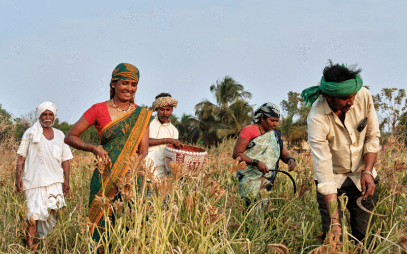 நீடித்த வேளாண்மை வறட்சியை வெல்லும் - நீருபித்துக் காட்டிய கர்நாடகப் பெண்கள்!