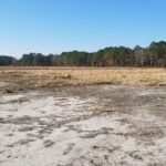 களர் உவர் நிலமும் உணவு உற்பத்தியும்!