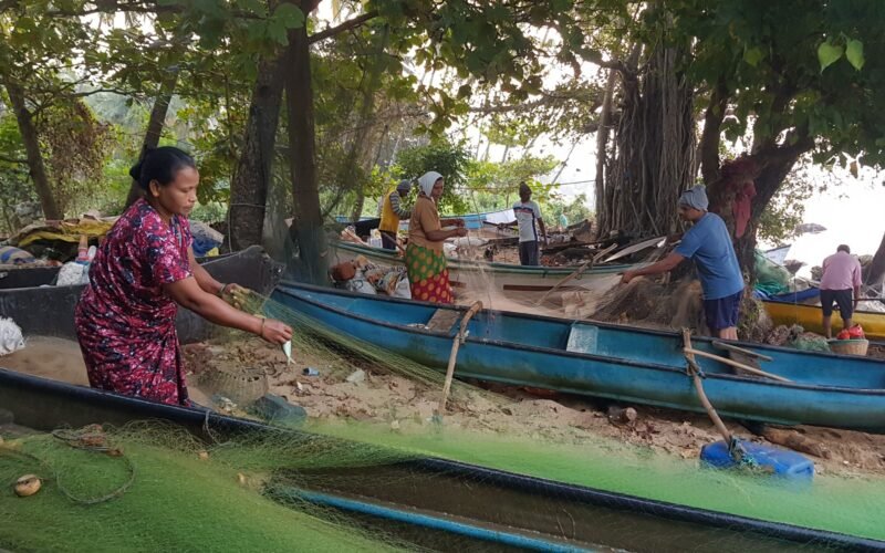 மீன்வள மேம்பாட்டில் மீனவப் பெண்களின் பங்கு! 1 மீன்வள மேம்பாட்டில் மீனவப் பெண்களின் பங்கு!