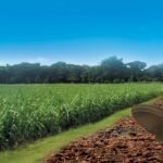 விவசாய வளர்ச்சியில் டிராக்டர் தொழில் நுட்பம்!