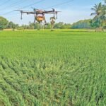 டிரோன்களைக் கொண்டு மருந்தடிப்பதில் டெல்டா விவசாயிகள் மிக ஆர்வம்!