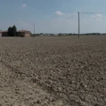 களர் உவர் மண்ணும் பாசனமும்!