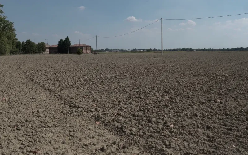 களர் உவர் மண்ணும் பாசனமும்!