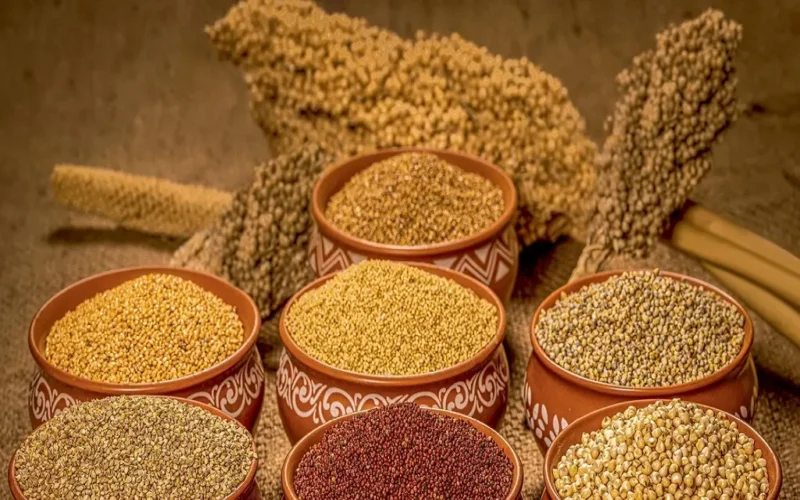 சிறுதானியங்கள்