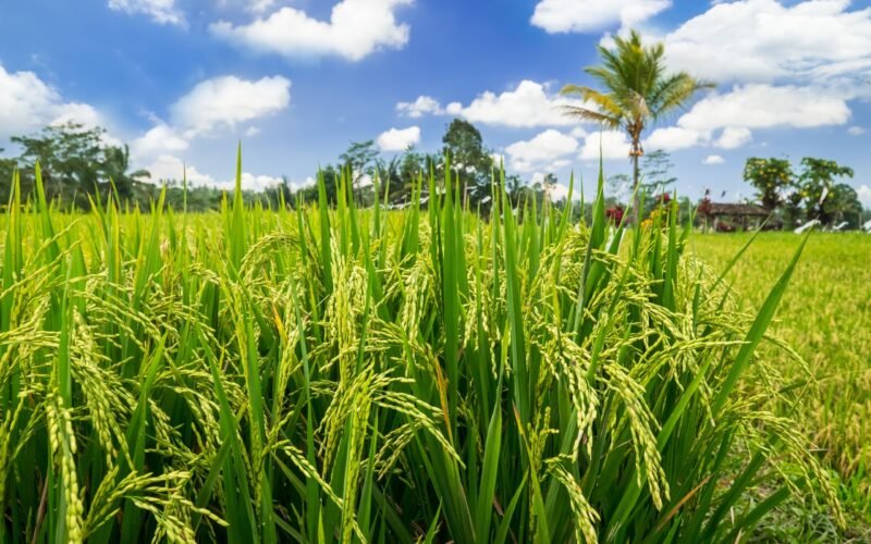 அறுபதாம் குறுவை!