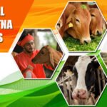 பால் உற்பத்தியில் சிறந்து விளங்குவோருக்குத் தேசிய விருது!