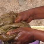 பீஜாமிர்தம்