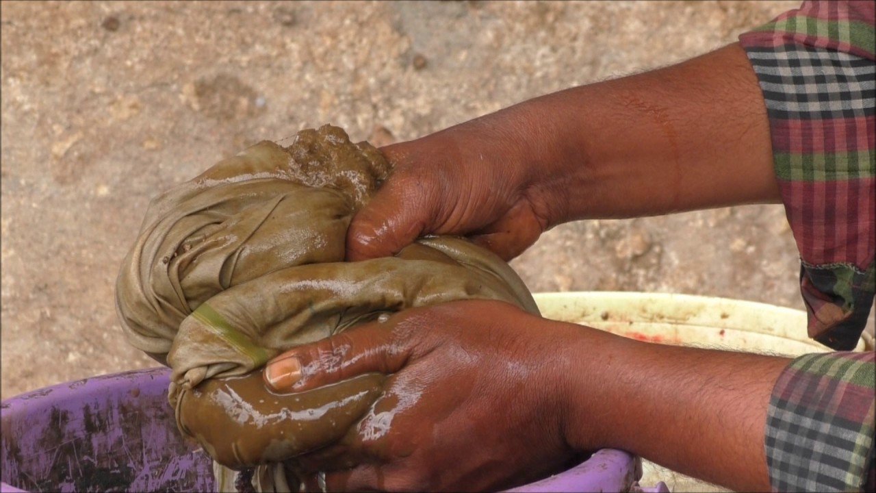 பீஜாமிர்தம்