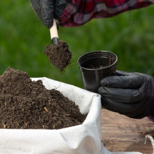 மண் பரிசோதனையின் அவசியம்!