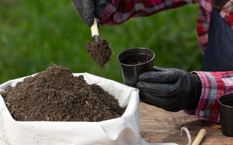 மண் பரிசோதனை