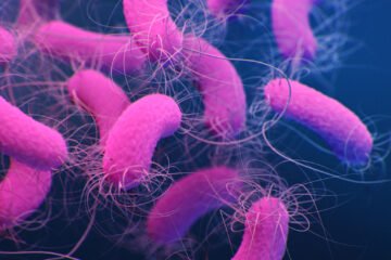 பயிர்ப் பாதுகாப்பில் உயிரியல் கட்டுப்பாட்டுக் காரணிகள்!