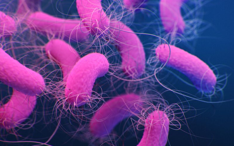 பயிர்ப் பாதுகாப்பில் உயிரியல் கட்டுப்பாட்டுக் காரணிகள்!