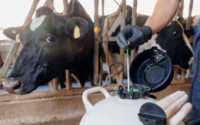 செயற்கை முறைக் கருவூட்டல்! 1 செயற்கை முறைக் கருவூட்டல்!