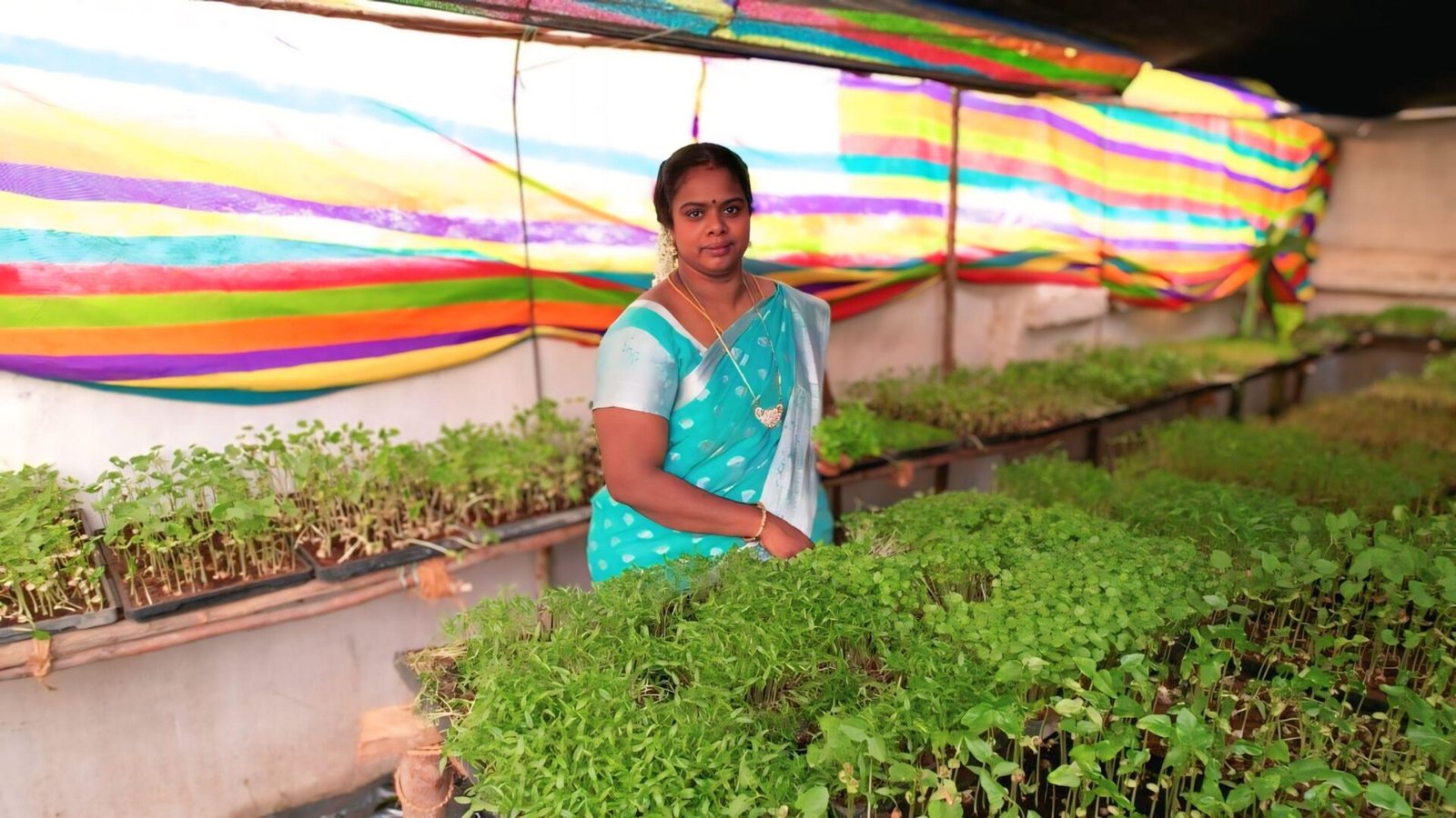 நலமும் தரும் வளமும் தரும் நுண் கீரைகள்! 3 Microgreens