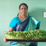 Microgreens