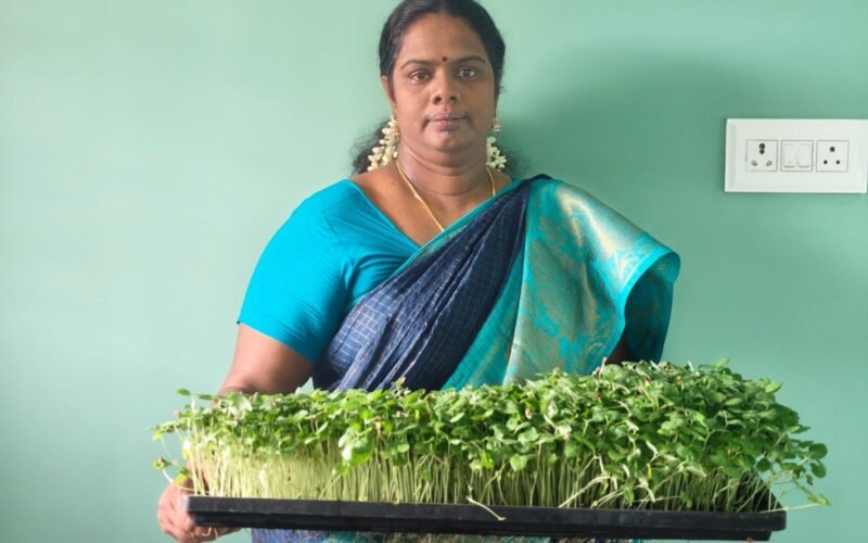 நலமும் தரும் வளமும் தரும் நுண் கீரைகள்! 1 Microgreens