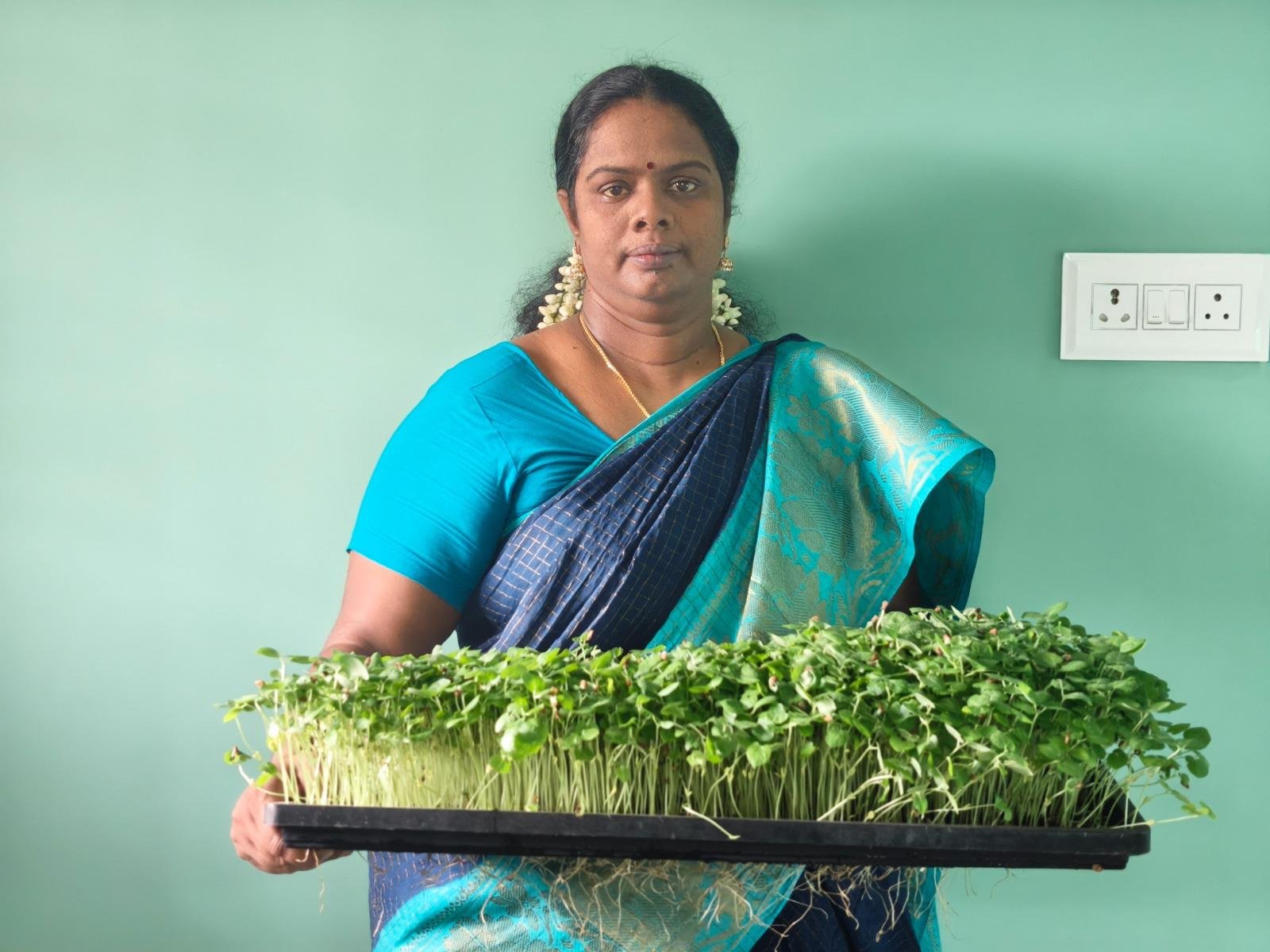 Pachai Boomi - Tamil | Agriculture | Animal Husbandary | Environment | Success Stories | Magazine | Monthly 5 நலமும் தரும் வளமும் தரும் நுண் கீரைகள்!