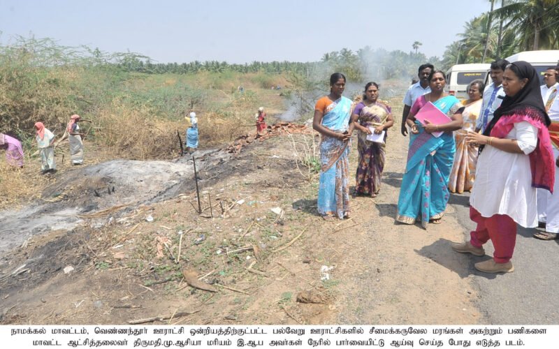 சீமைக்கருவேல மரங்கள் அகற்றம் - மாவட்ட ஆட்சியர் ஆய்வு!