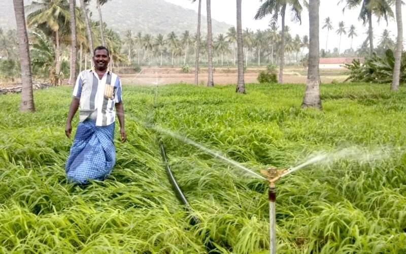 விவசாயத்தை வளமாக்கும் நுண்ணீர்ப் பாசனம்!