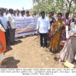 கால்நடைகளின் பசியாற்றும் உலர் தீவனத் திட்டம்!