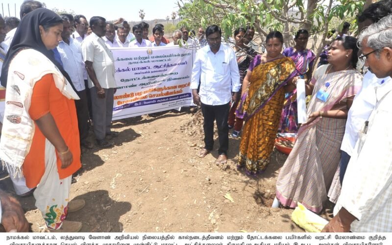 கால்நடைகளின் பசியாற்றும் உலர் தீவனத் திட்டம்!