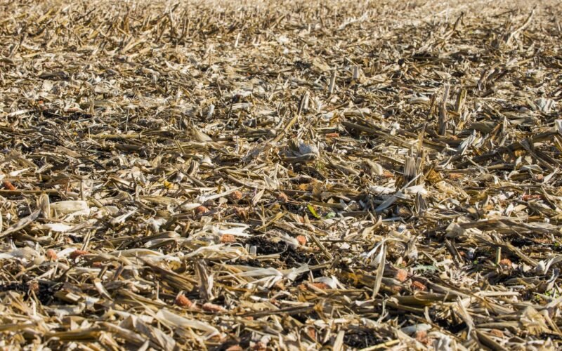 Crop residues