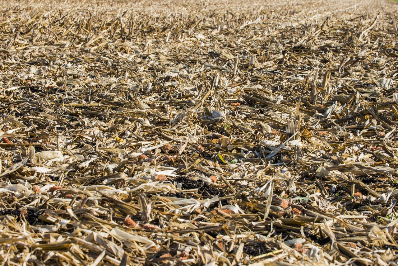 Crop residues