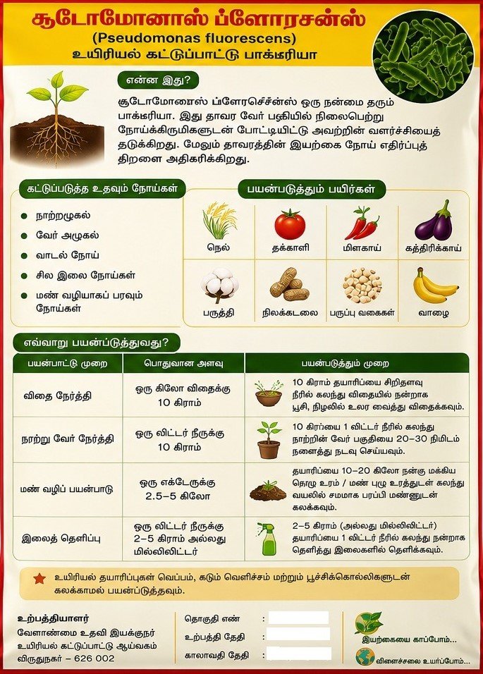 வேர் மண்டலத்தைப் பாதுகாக்கும் சூடோமோனாஸ் ஃப்ளோரசென்ஸ்! 3 வேர் மண்டலத்தைப் பாதுகாக்கும் சூடோமோனாஸ் ஃப்ளோரசென்ஸ்!