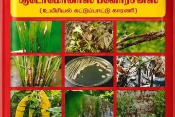 வேர் மண்டலத்தைப் பாதுகாக்கும் சூடோமோனாஸ் ஃப்ளோரசென்ஸ்!