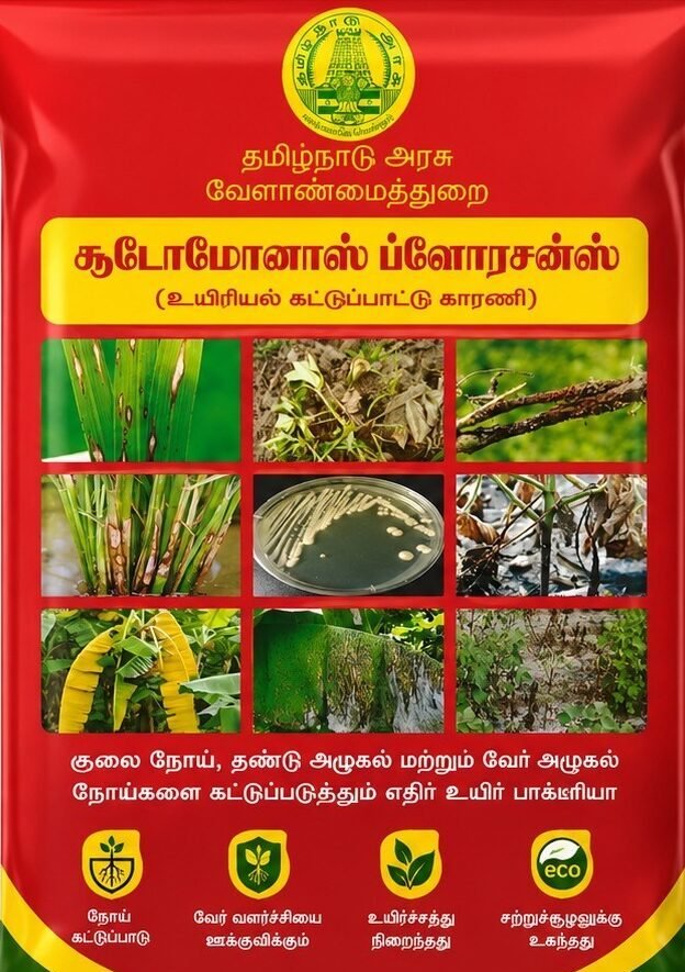 வேர் மண்டலத்தைப் பாதுகாக்கும் சூடோமோனாஸ் ஃப்ளோரசென்ஸ்! 2 வேர் மண்டலத்தைப் பாதுகாக்கும் சூடோமோனாஸ் ஃப்ளோரசென்ஸ்!