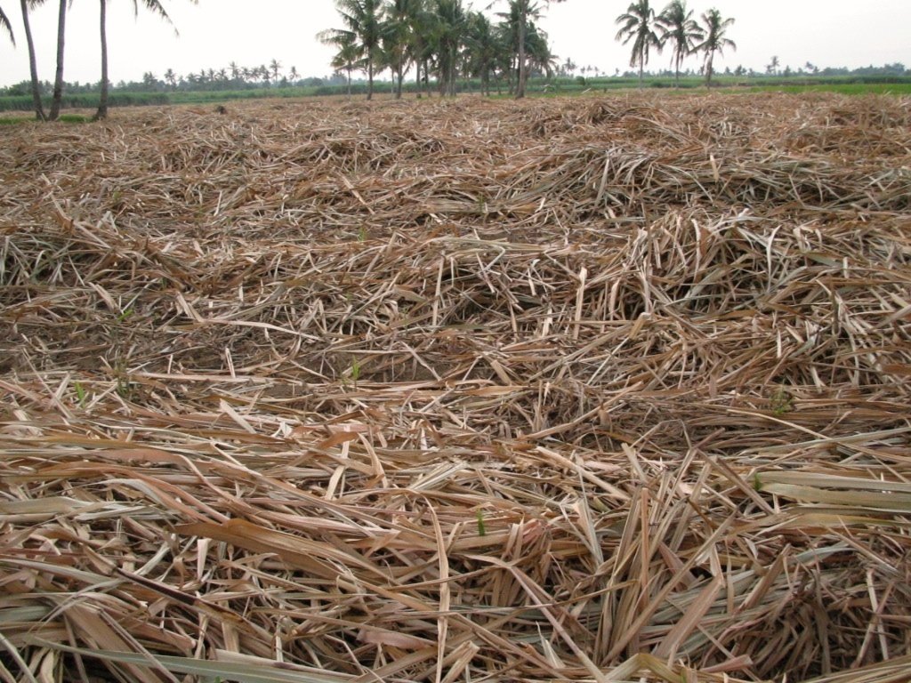 Fertilizer