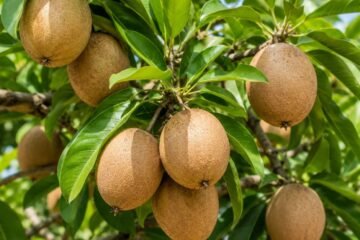 சரியான உத்திகளைக் கடைப்பிடித்தால் இலாபம் பார்க்கலாம்!