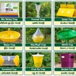 பெரோமோன் மற்றும் ஒட்டும் பொறிகள் மூலம் பூச்சி மேலாண்மை! ari 2 https://pachaiboomi.net/57940506-2/