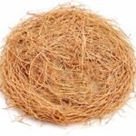 வெற்றியைத் தரும் வெட்டிவேர் சாகுபடி!    vetti vear https://pachaiboomi.net/6807075-2/