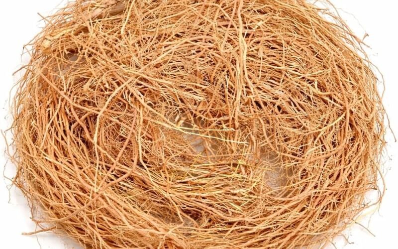வெற்றியைத் தரும் வெட்டிவேர் சாகுபடி! 1 வெற்றியைத் தரும் வெட்டிவேர் சாகுபடி! vetti vear https://pachaiboomi.net/76904056-2/